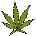 Cannabis sativa L. 10195086