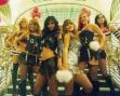 *~PuSsYcAt DoLlS~* 2458258