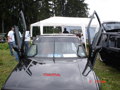 VW Treffen spessart 33656495