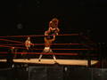 Wrestling 15.11.2005 Leipzig!!! 2742382