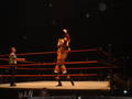 Wrestling 15.11.2005 Leipzig!!! 2754351