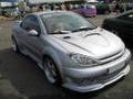 Peugeot 206 und Audi A3-A8 2469547