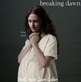 ...Breaking Dawn... 67301897