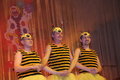 BHCC Männerballett 06/07 15842753