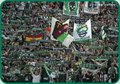 SK Rapid Wien 13401732