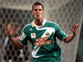 SK Rapid Wien 66244195