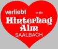 Saalbach "2006" 5159587