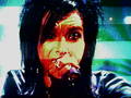 I LOVE TOKIO HOTEL 6404247