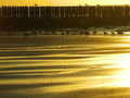 Zomer 2008, Stage Cadzand-Bad 46096972