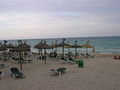 urlaub mallorca 41890131