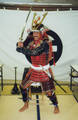 Samurai Kampfkunst 2811300