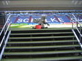 Arena Auf Schalke 59822192