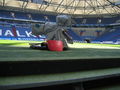 Arena Auf Schalke 59822199