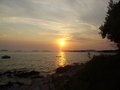 Urlaub Croatien Rovinj 26794547