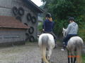 Pony`s haben Besuch... 62187244