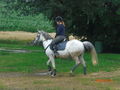 Pony`s haben Besuch... 62187248