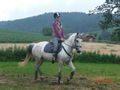 Pony`s haben Besuch... 62187266