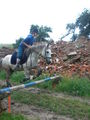 Pony`s haben Besuch... 62187271