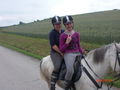 Pony`s haben Besuch... 62187293