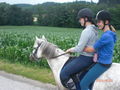 Pony`s haben Besuch... 62187297