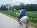 Pony`s haben Besuch... 62187300