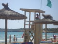 Urlaub 08 Mallorca 41777023