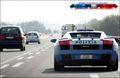 Polizei-Lamborghini 48036252