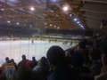 Black Wings Linz : Vienna Capitals 12848940