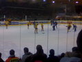 Black Wings Linz : Vienna Capitals 12848942