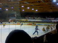 Black Wings Linz : Vienna Capitals 12848944