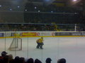 Black Wings Linz : Vienna Capitals 12848945