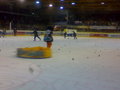 Black Wings Linz : Vienna Capitals 12859498