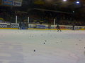 Black Wings Linz : Vienna Capitals 12859499