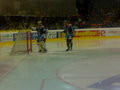 Black Wings Linz : Vienna Capitals 12859502