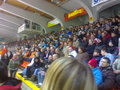 Black Wings Linz : Vienna Capitals 12859549