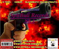 SpitBull Records 21936827