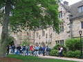 *** Yale University *** 7450389