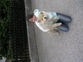 a Crazy Day with ma DOg and Verena 5703236