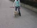 a Crazy Day with ma DOg and Verena 5703284