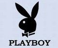 PLAYBOY,D&G,etc 10751032