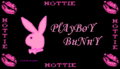 PLAYBOY,D&G,etc 8777894