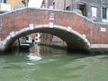 Venedig 66844811