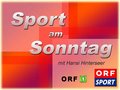 Musikball 2007 - Sport am Sonntag 13832670