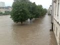 hochwasser 2009^^ 61848484