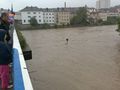 hochwasser 2009^^ 61848535