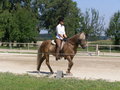 Fotos beim reiten.. :) 24466248