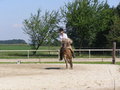 Fotos beim reiten.. :) 24476592