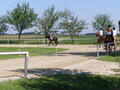 Fotos beim reiten.. :) 24477293