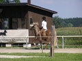 Fotos beim reiten.. :) 24477312