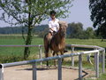 Fotos beim reiten.. :) 24477495